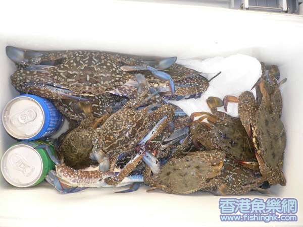 照片 027.jpg