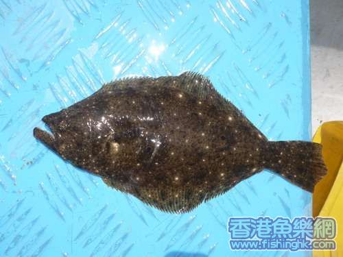 照片 054_resize.jpg