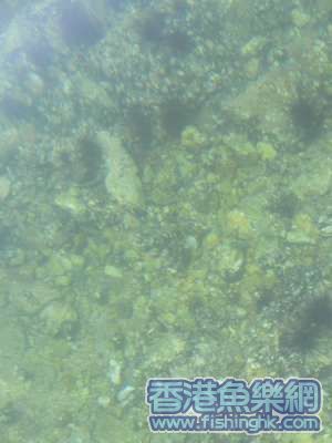 照片 056_resize.jpg