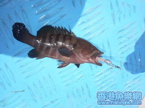 照片 055_resize.jpg