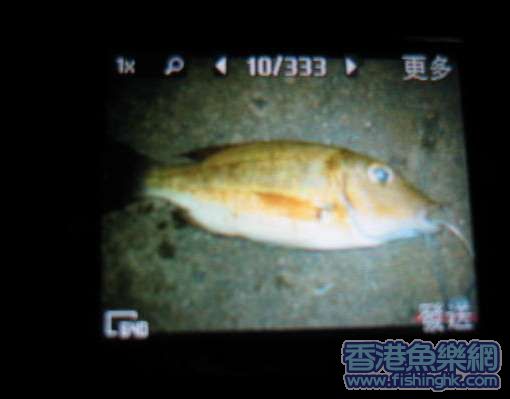 照片 004.jpg