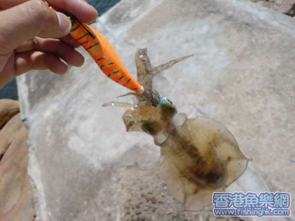 DSC00094_調整大小 .JPG