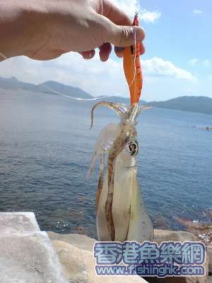DSC00093_調整大小 .jpg