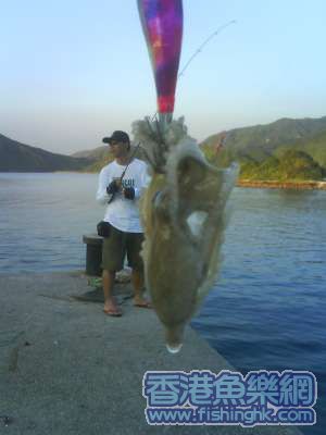 DSC00887.JPG