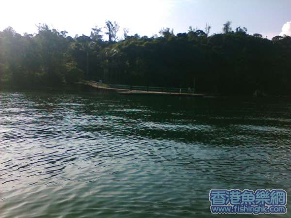 IMG034.JPG