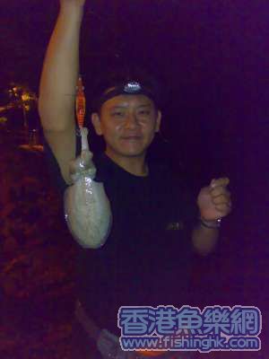 Copy of deepwater bay squid.jpg