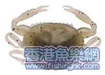 crab.jpg