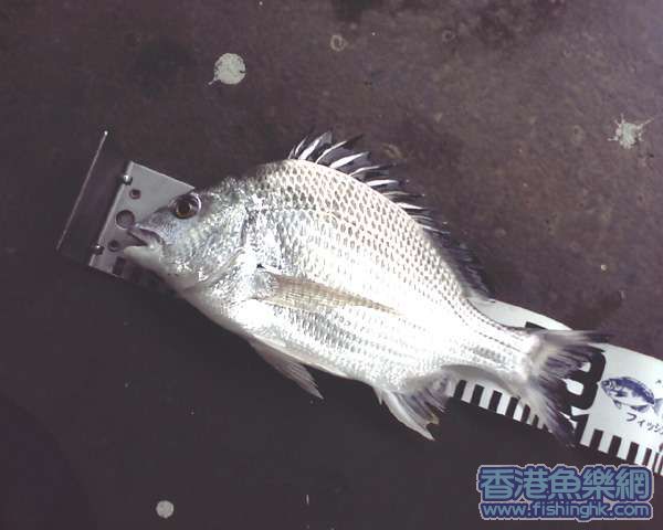 Picture0049拷貝.jpg