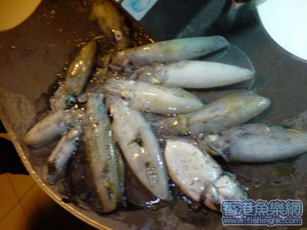 DSC00460.JPG