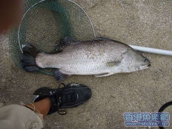 20070813.jpg