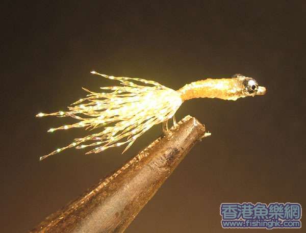 小勿魚