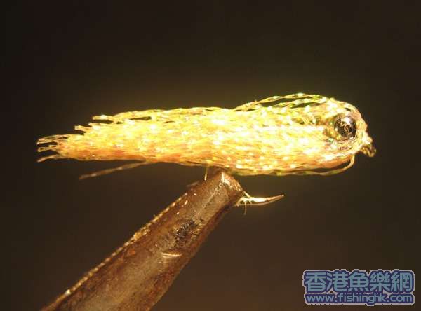 小魚1