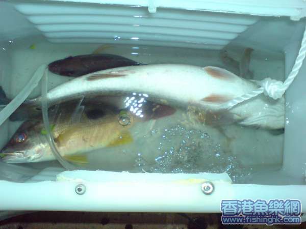 DSC01330.JPG