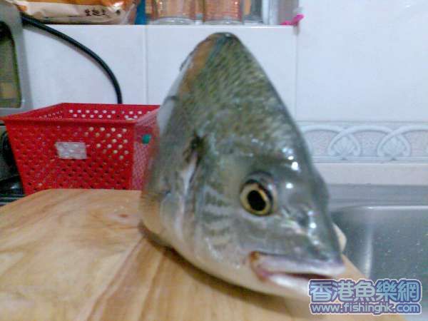 圖像267.jpg