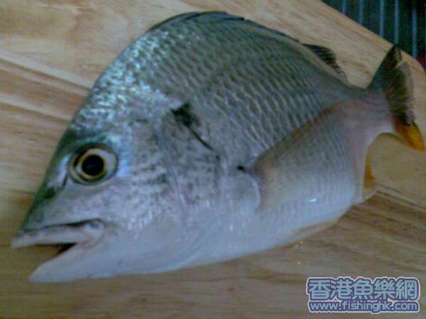 圖像268.jpg