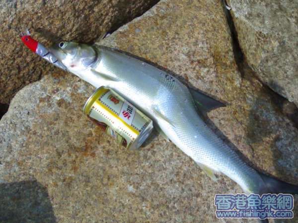 20070818360.jpg