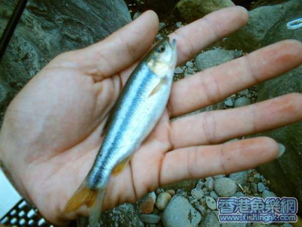_____002_184.jpg