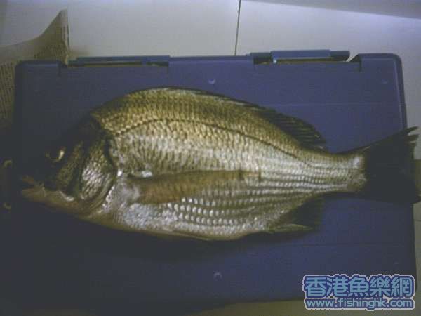 PHTO0076a.jpg