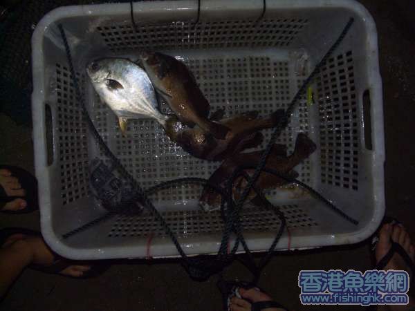 照片 015.jpg