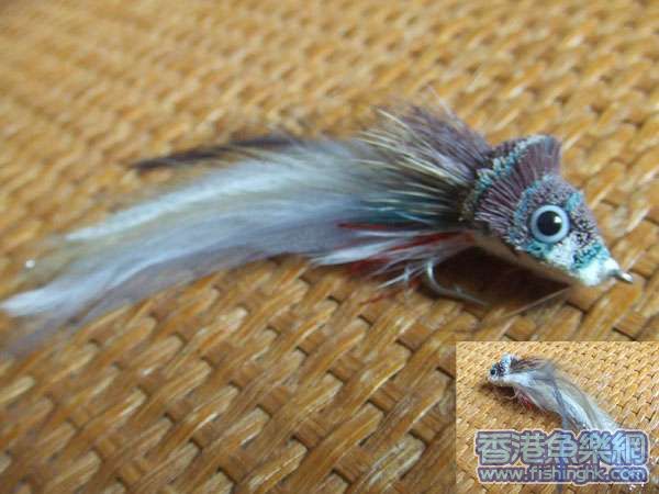 DSCF1791.JPG