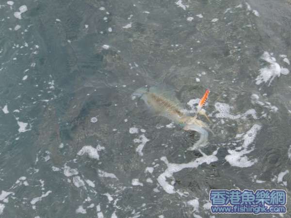 照片 101.jpg