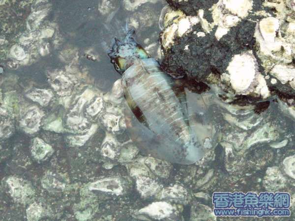 照片 086.jpg
