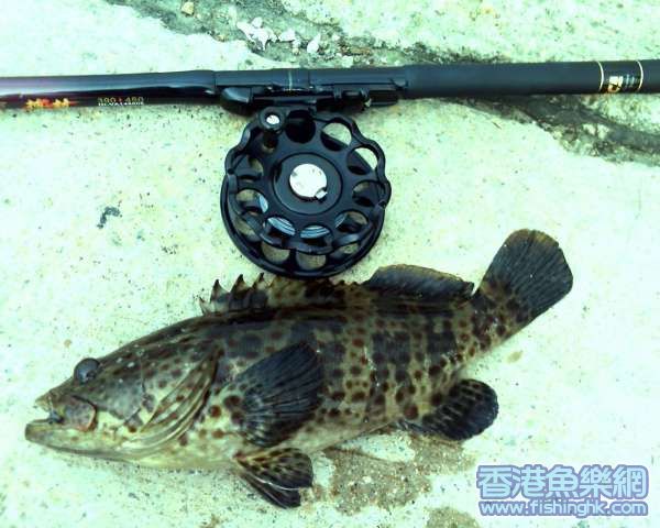 東涌28_8_07 班.JPG