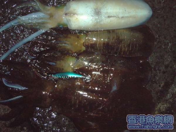 照片 013~11.jpg