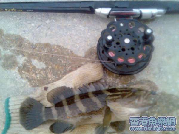 小斑