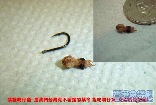 照片 018~1.JPG