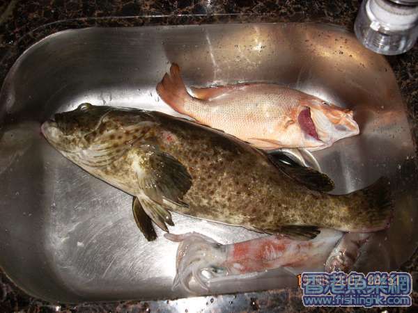 DSCN0090.JPG
