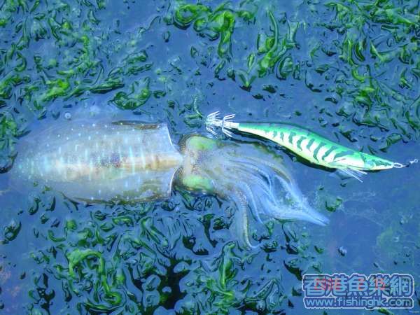 照片 011~1111.jpg