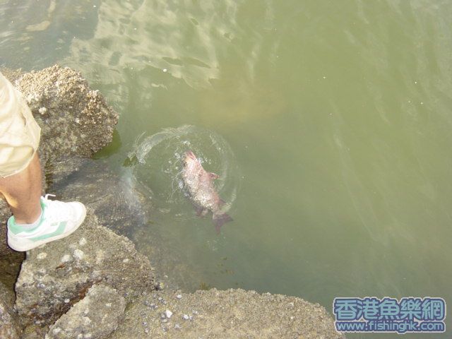 講聲多謝, 回歸大海