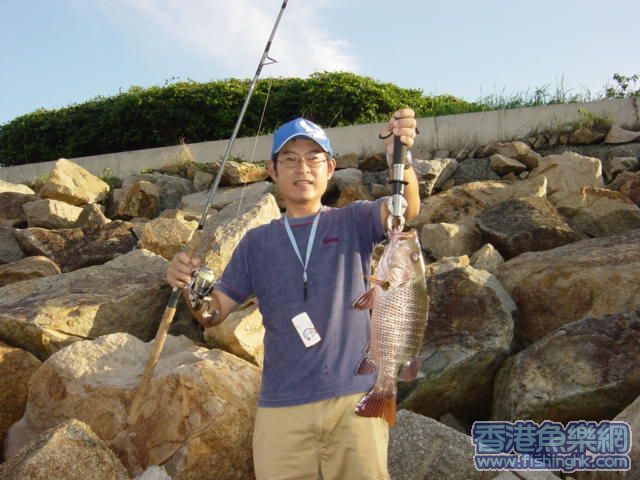 條魚同我嘅玉照