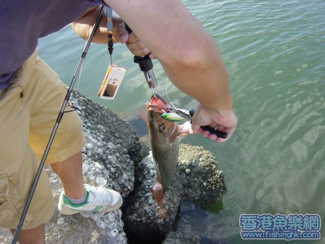 解鈎, 無落過地架
