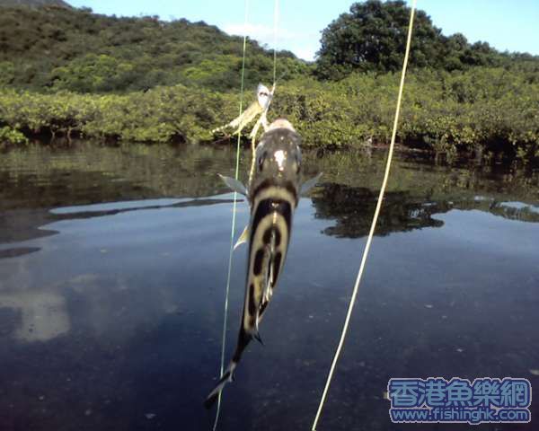 收獲2