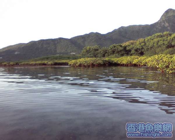 風平浪靜