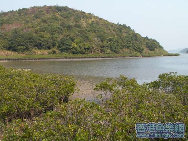 PICT0024_resize.jpg