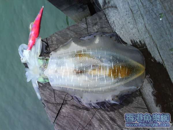 輕鬆哂