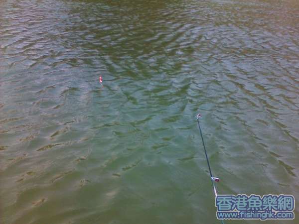 IMG007.JPG