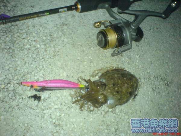 小墨仔.jpg
