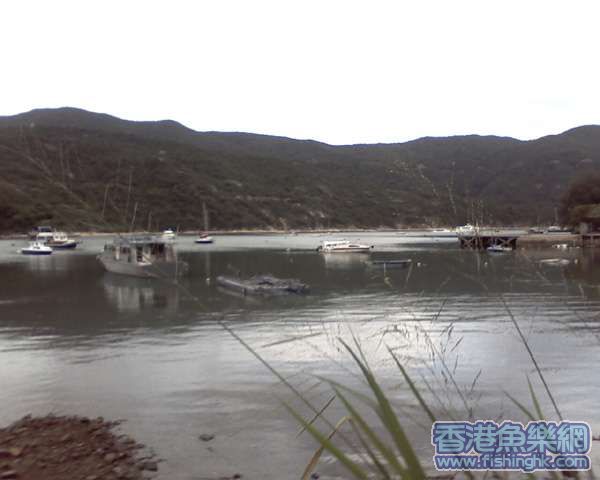 Picture0017.jpg