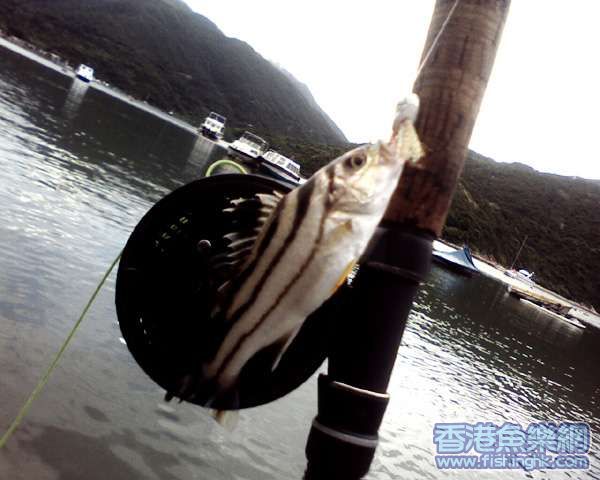 Picture0019.jpg