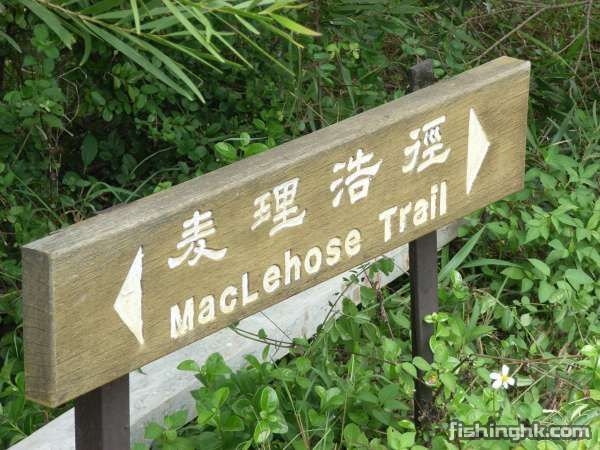 maclehose