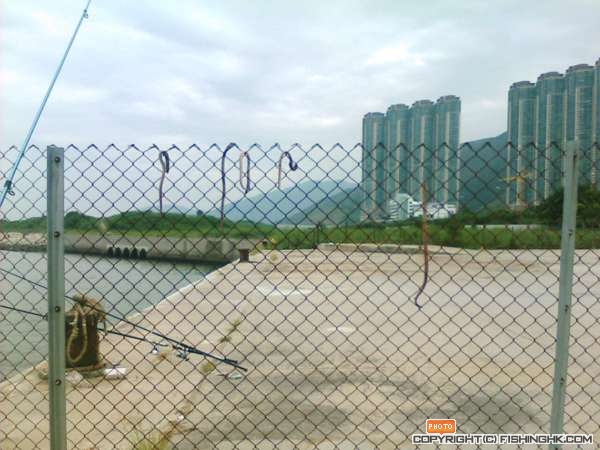 IMG038.JPG
