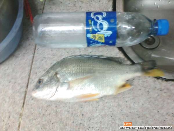 IMG040.JPG