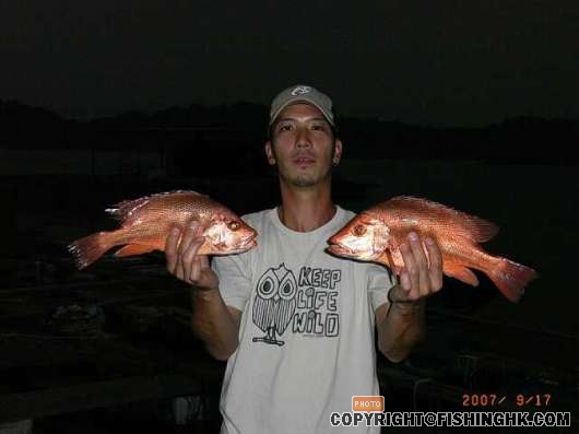 RIMG0196-縮圖.JPG