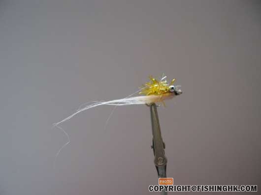 Picture 007.jpg