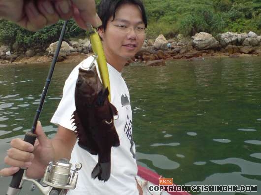 假餌(2).jpg