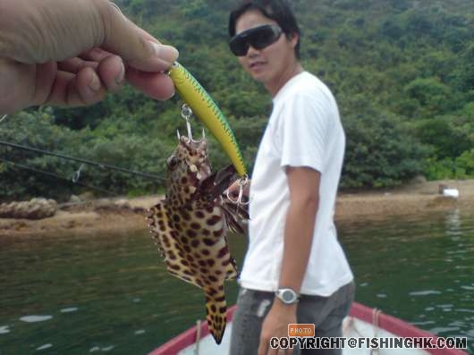 假餌(1).jpg